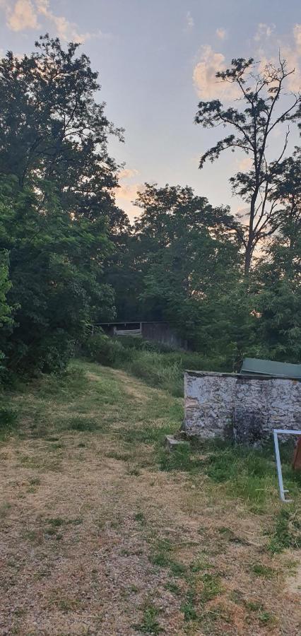 Ancien Relais De Chasse A 35 Min Du Circuit 24H Du Mans Bed and Breakfast Le Lude Εξωτερικό φωτογραφία